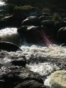 DSCN7597.JPG