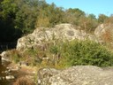 DSCN7598.JPG
