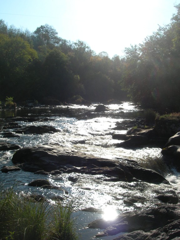 DSCN7599.JPG