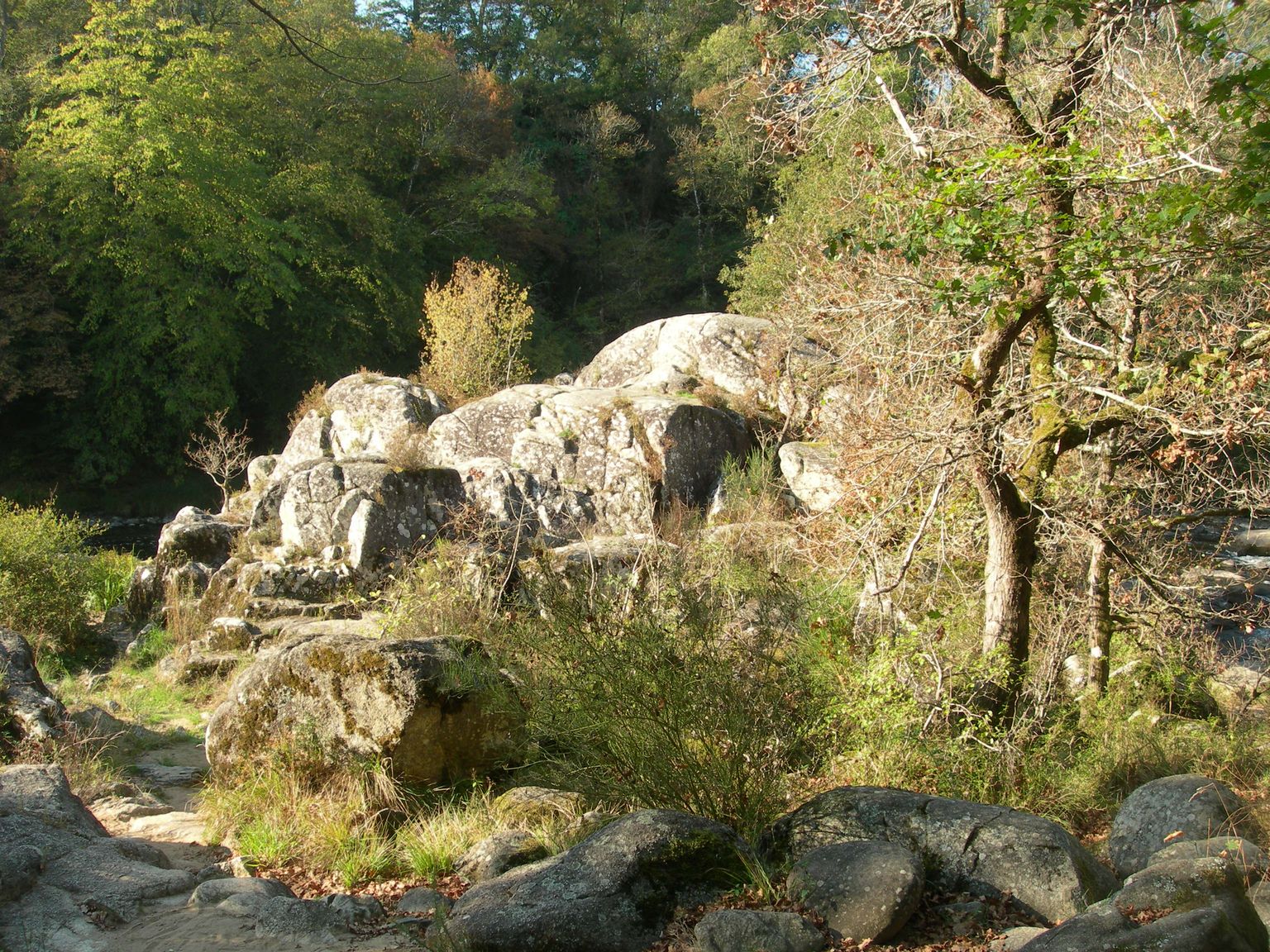 DSCN7600.JPG