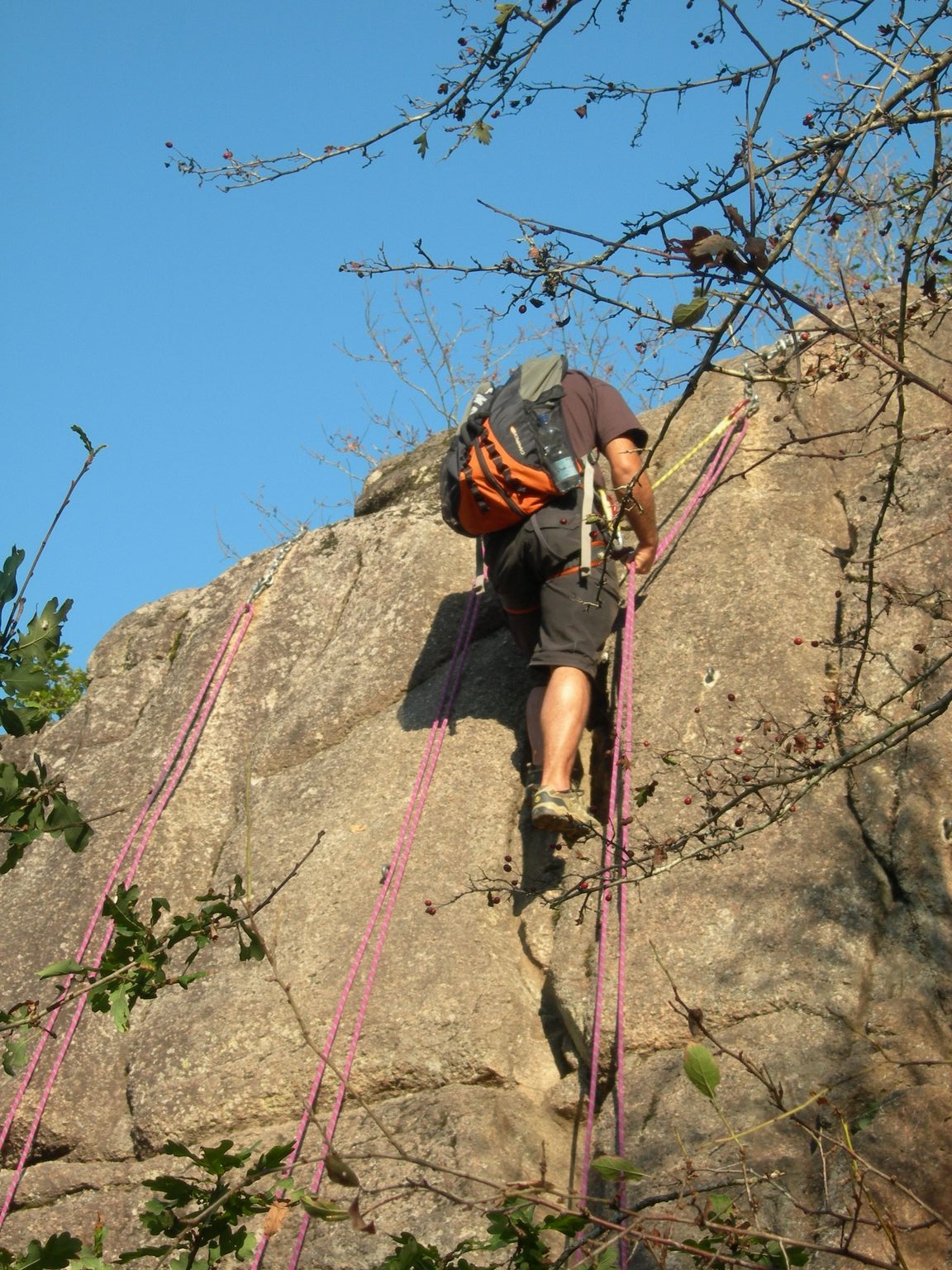 DSCN7604.JPG