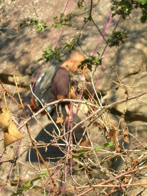 DSCN7605.JPG