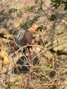 DSCN7605.JPG