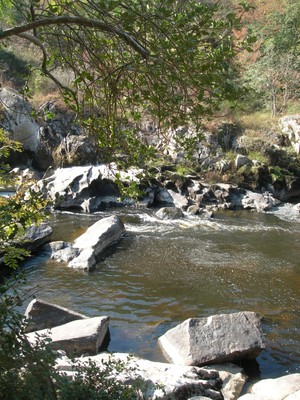 DSCN7618.JPG