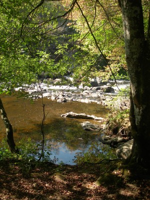 DSCN7619.JPG