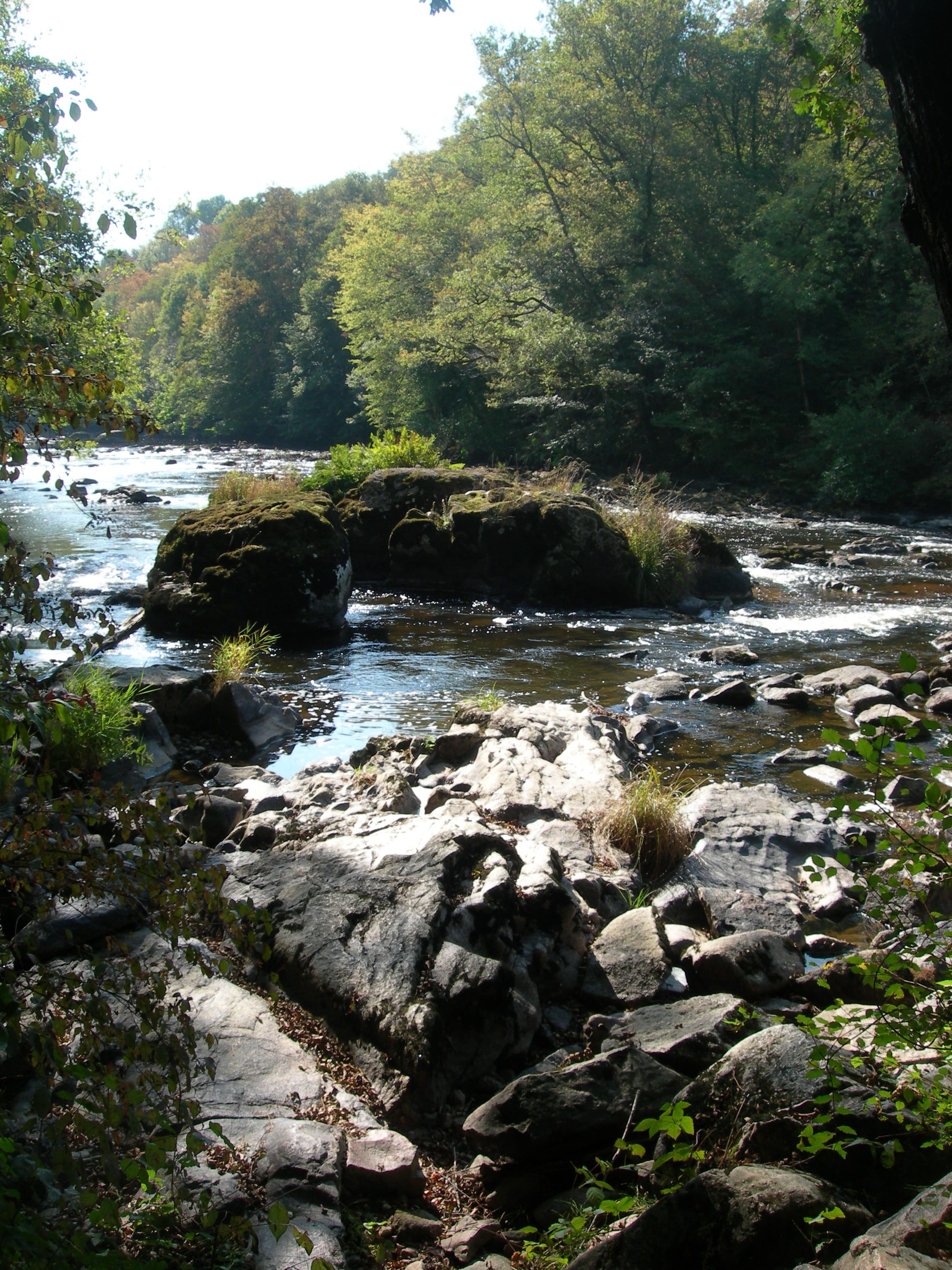 DSCN7620.JPG