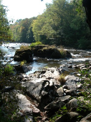 DSCN7620.JPG