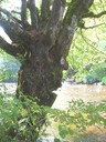 DSCN7624.JPG
