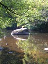 DSCN7625.JPG