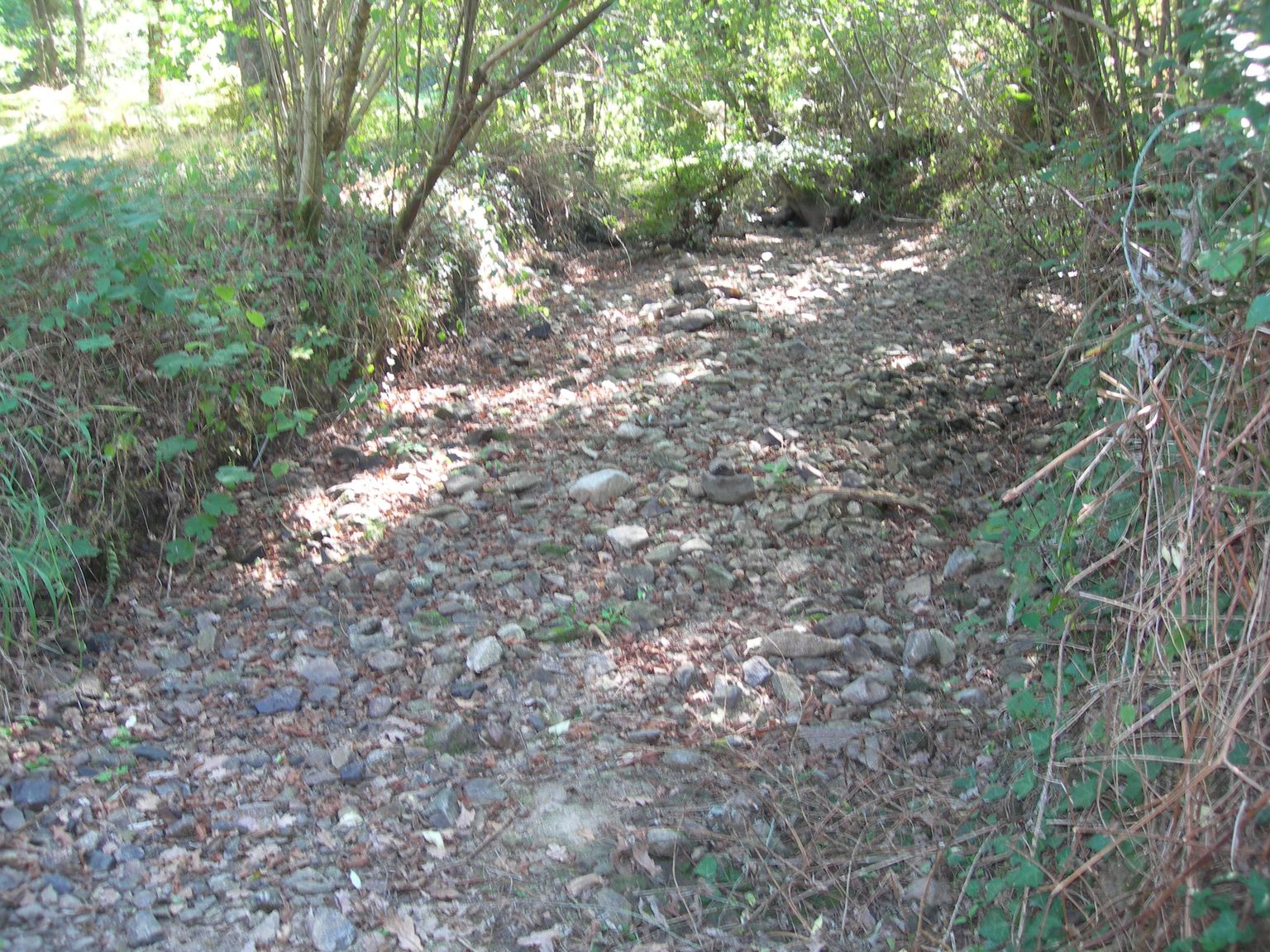 DSCN7630.JPG