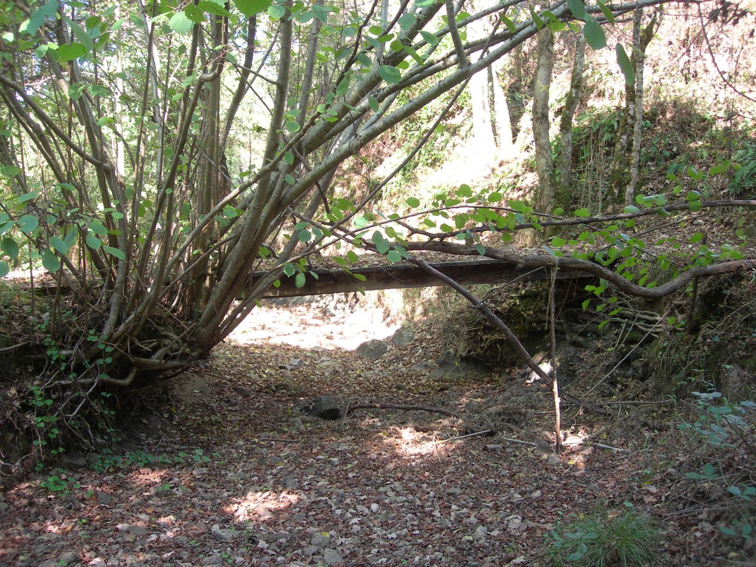 DSCN7631.JPG