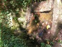 DSCN7632.JPG