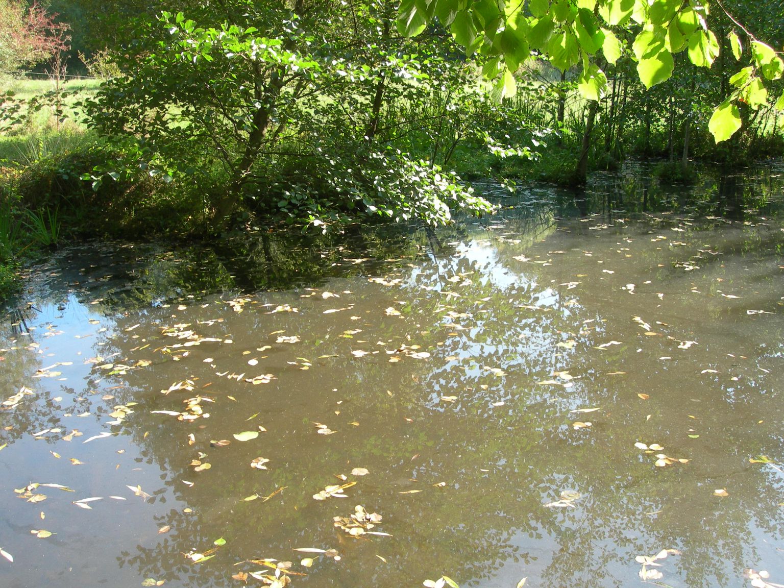 DSCN7634.JPG