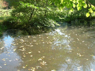 DSCN7634.JPG