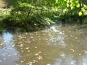 DSCN7634.JPG