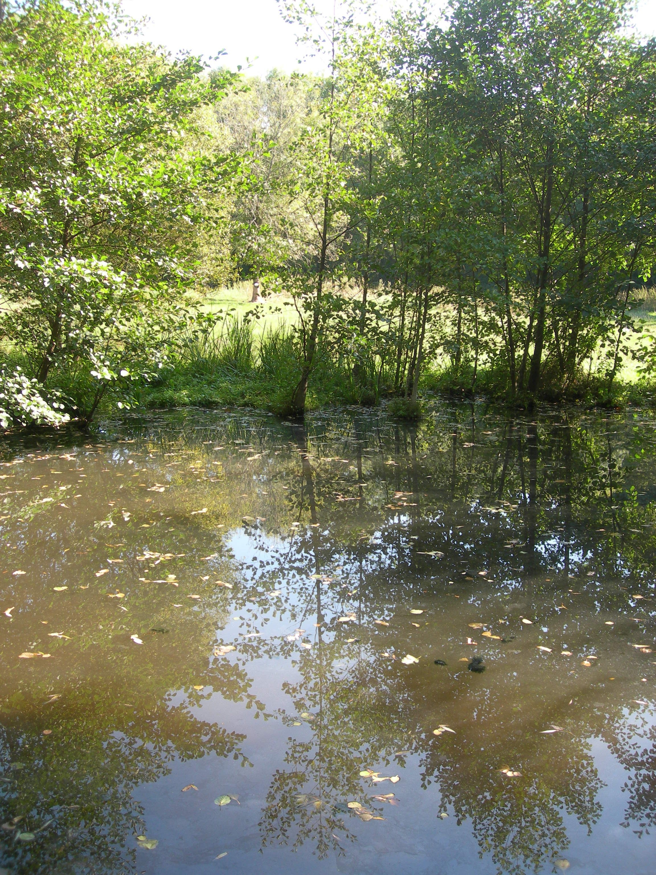 DSCN7635.JPG
