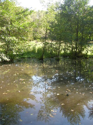 DSCN7635.JPG