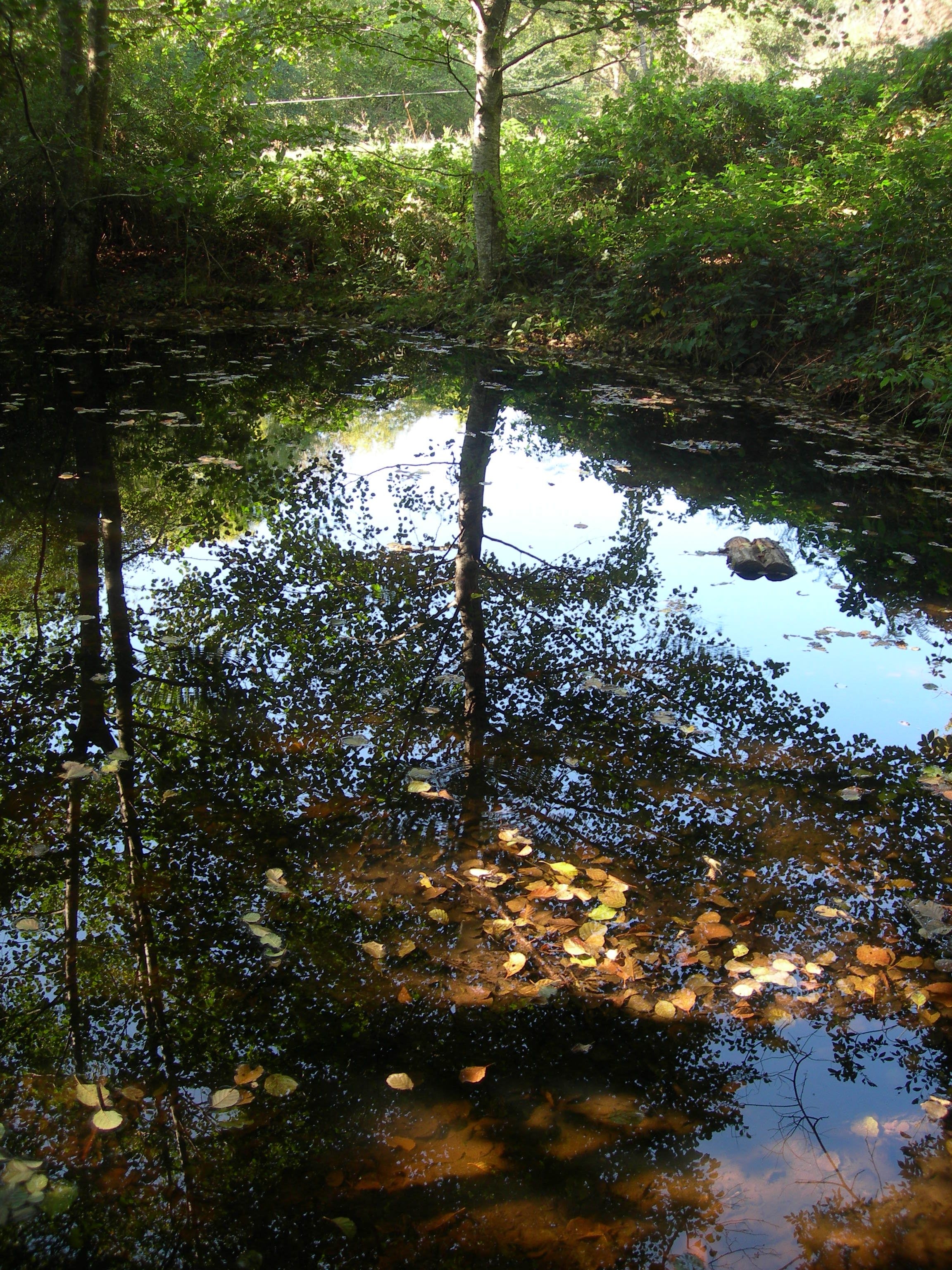 DSCN7636.JPG