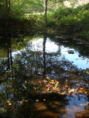 DSCN7636.JPG