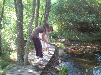 DSCN7638.JPG