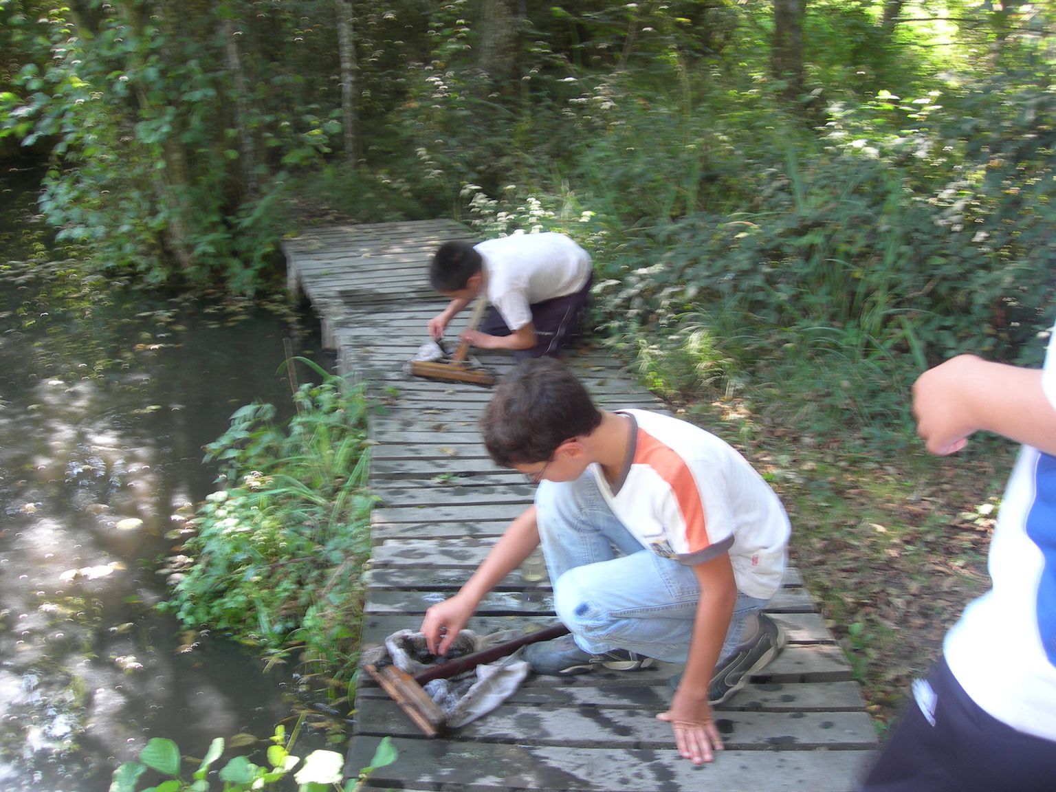 DSCN7640.JPG
