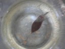 DSCN7643.JPG