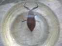 DSCN7644.JPG