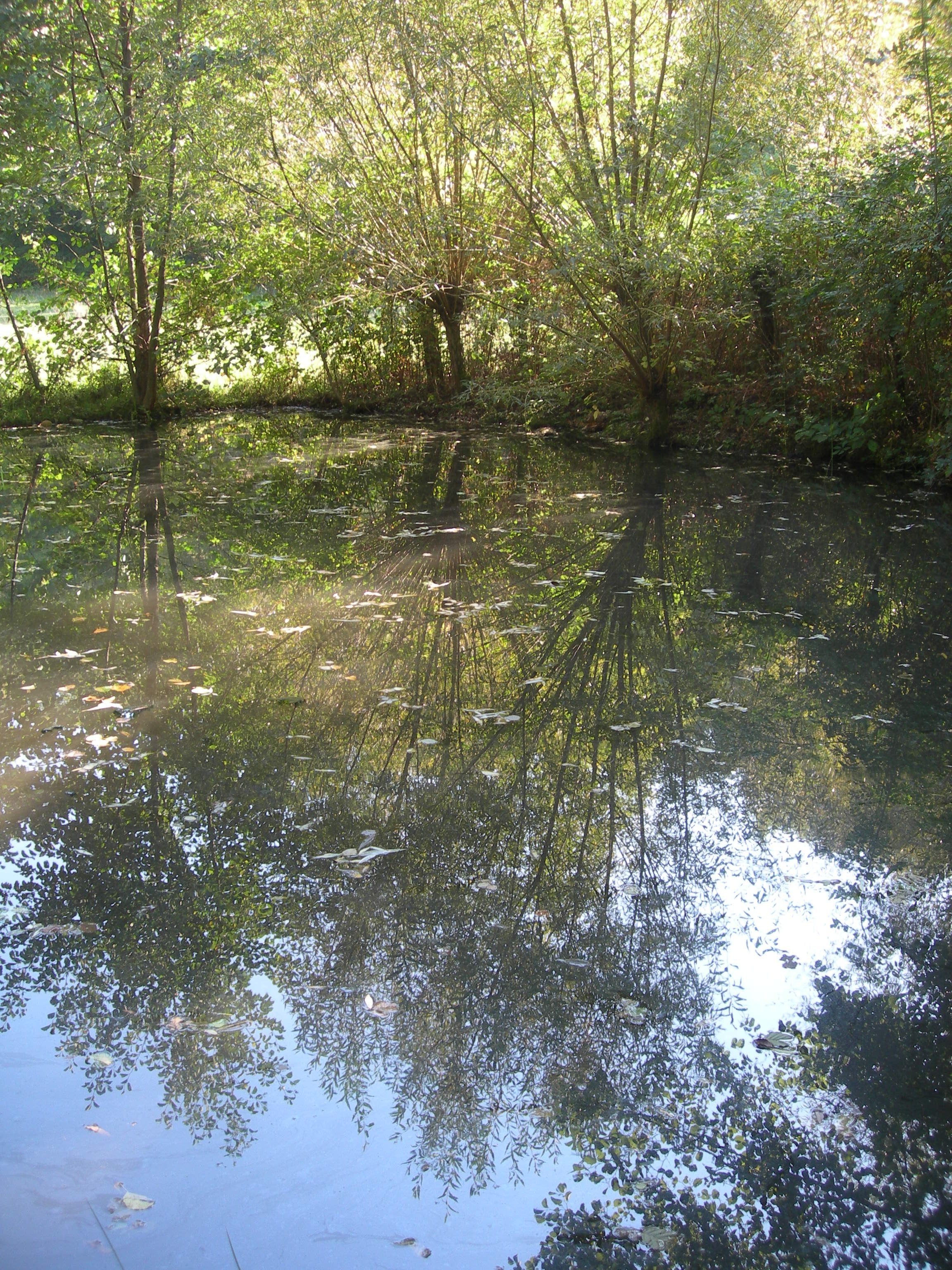 DSCN7649.JPG