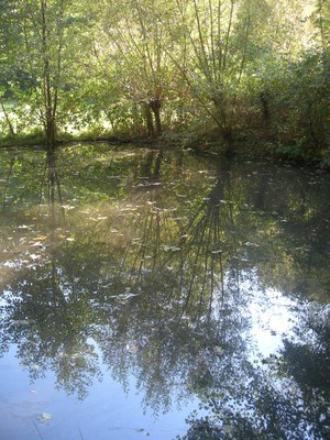 DSCN7649.JPG