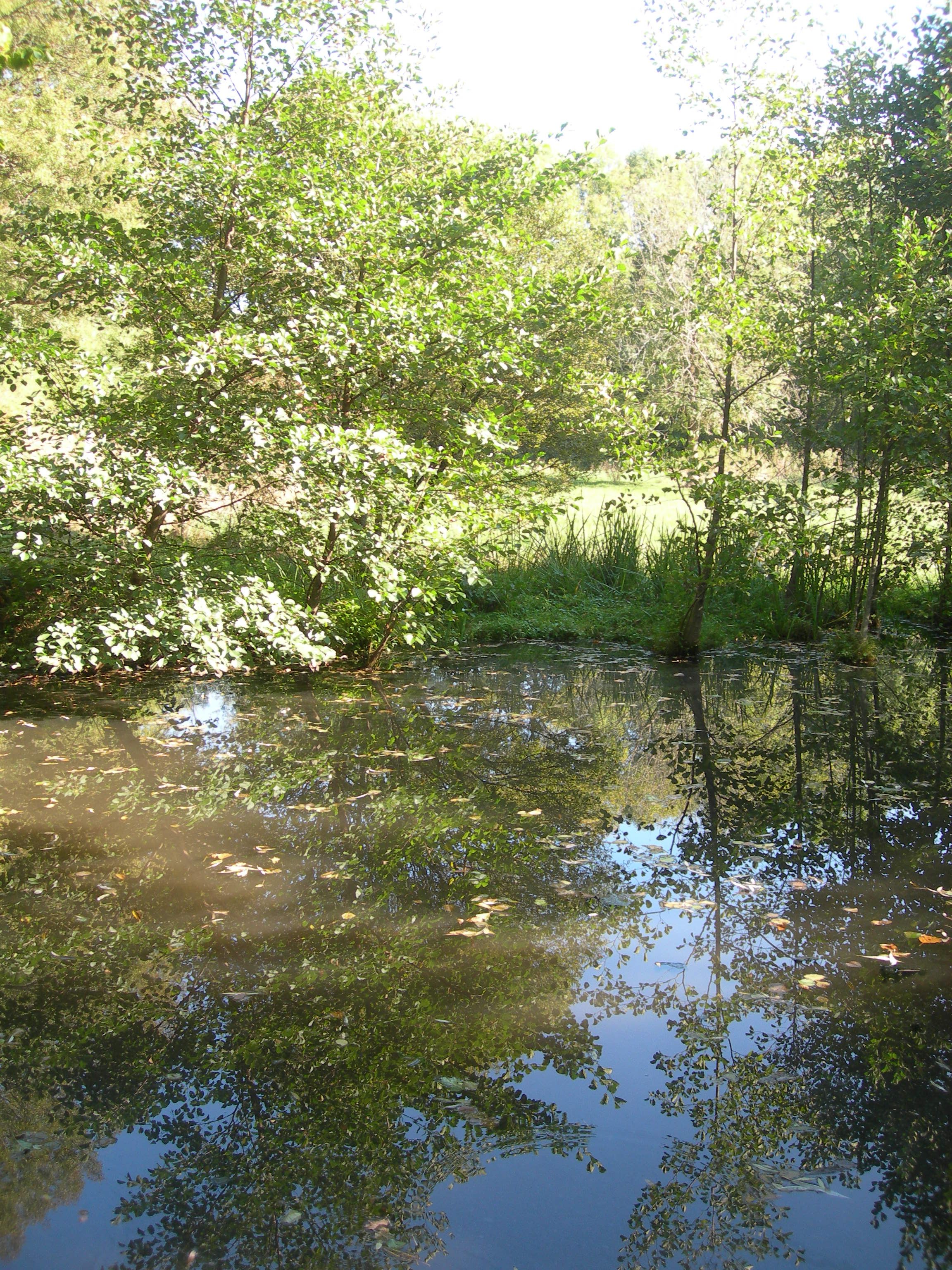 DSCN7650.JPG