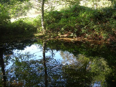 DSCN7651.JPG