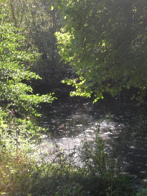 DSCN7652.JPG