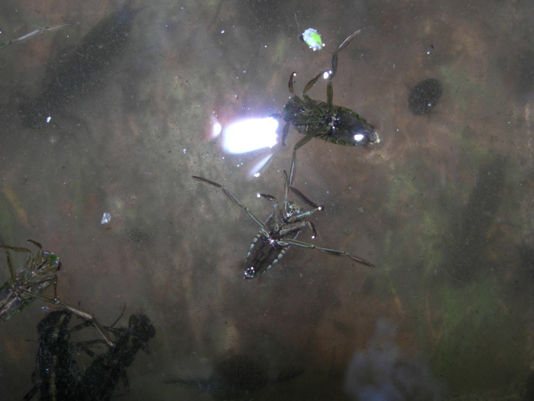 DSCN7656.JPG