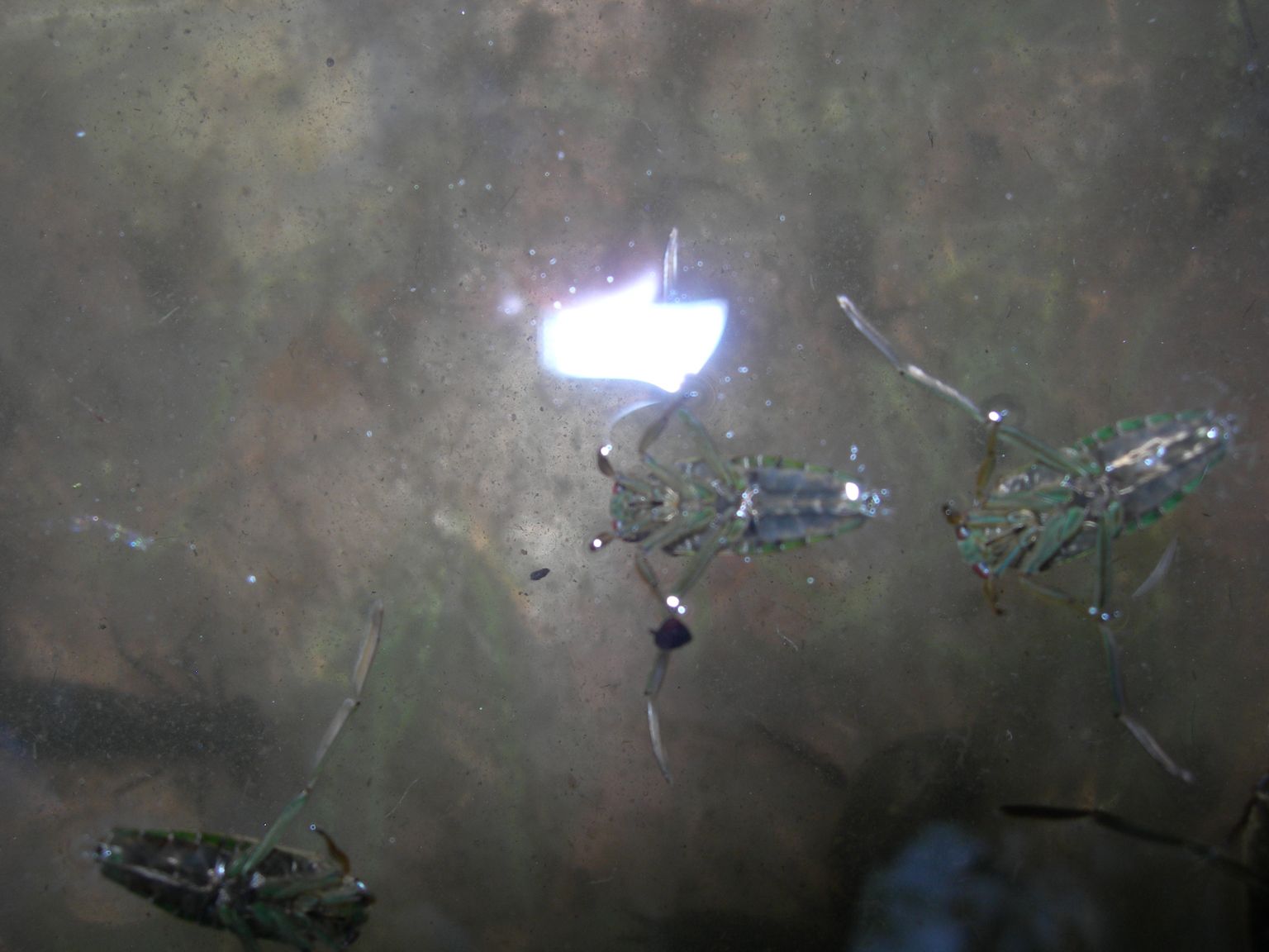 DSCN7657.JPG