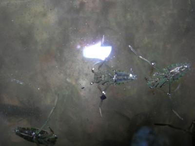 DSCN7657.JPG