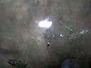 DSCN7657.JPG