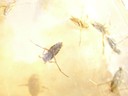 DSCN7659.JPG