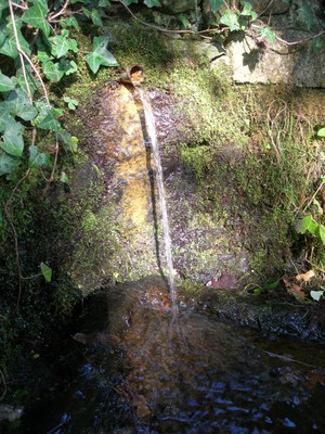 DSCN7662.JPG