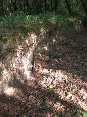 DSCN7663.JPG