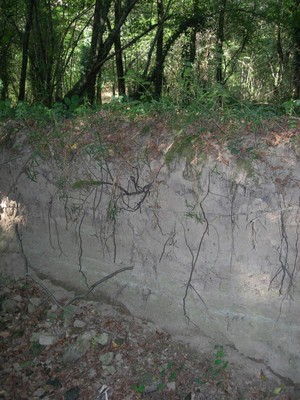 DSCN7665.JPG