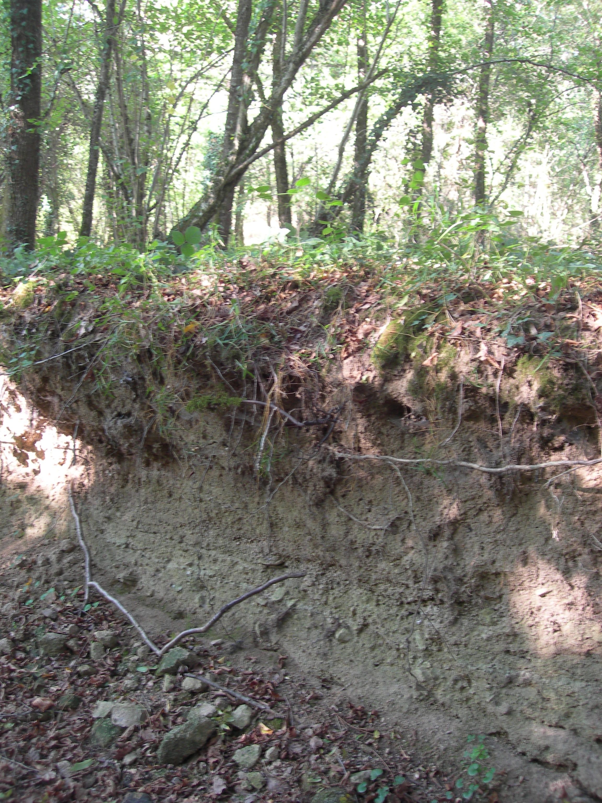DSCN7666.JPG