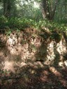 DSCN7667.JPG