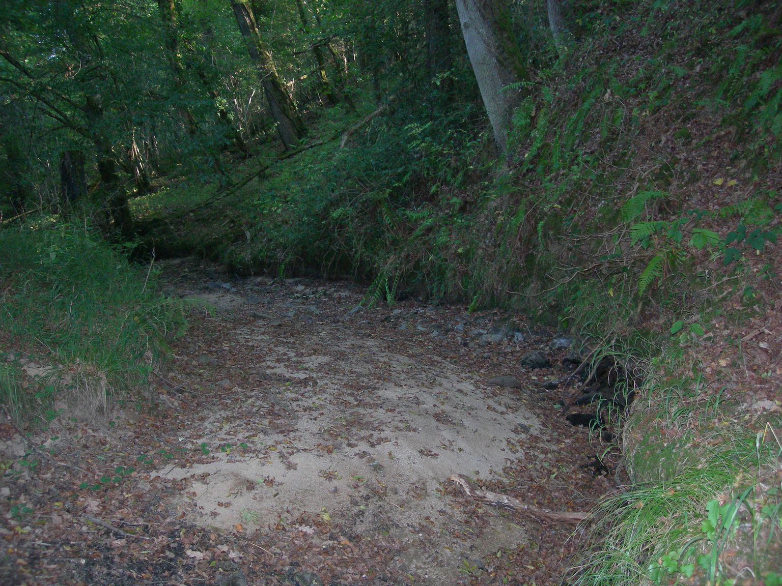 DSCN7671.JPG