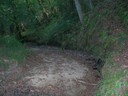 DSCN7671.JPG