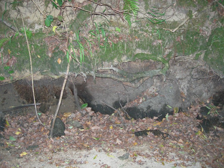 DSCN7672.JPG