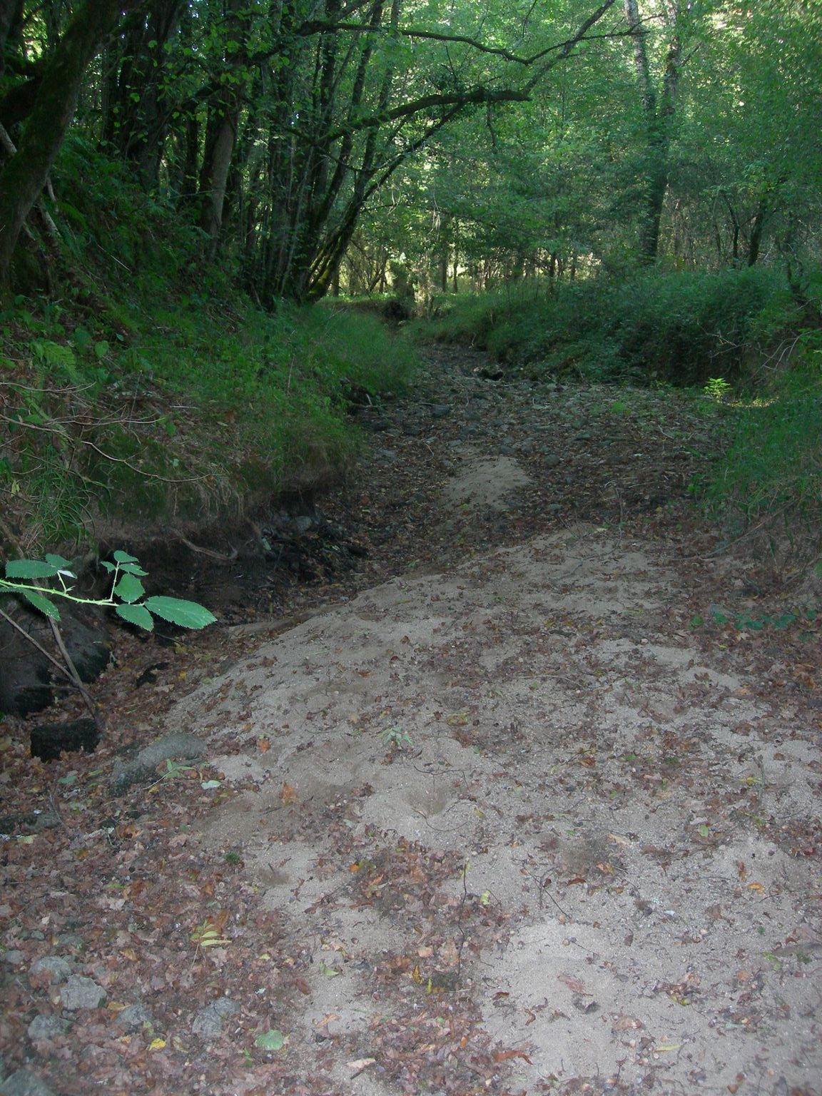 DSCN7673.JPG