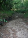 DSCN7673.JPG