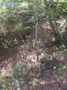 DSCN7674.JPG