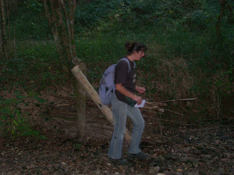 DSCN7675.JPG