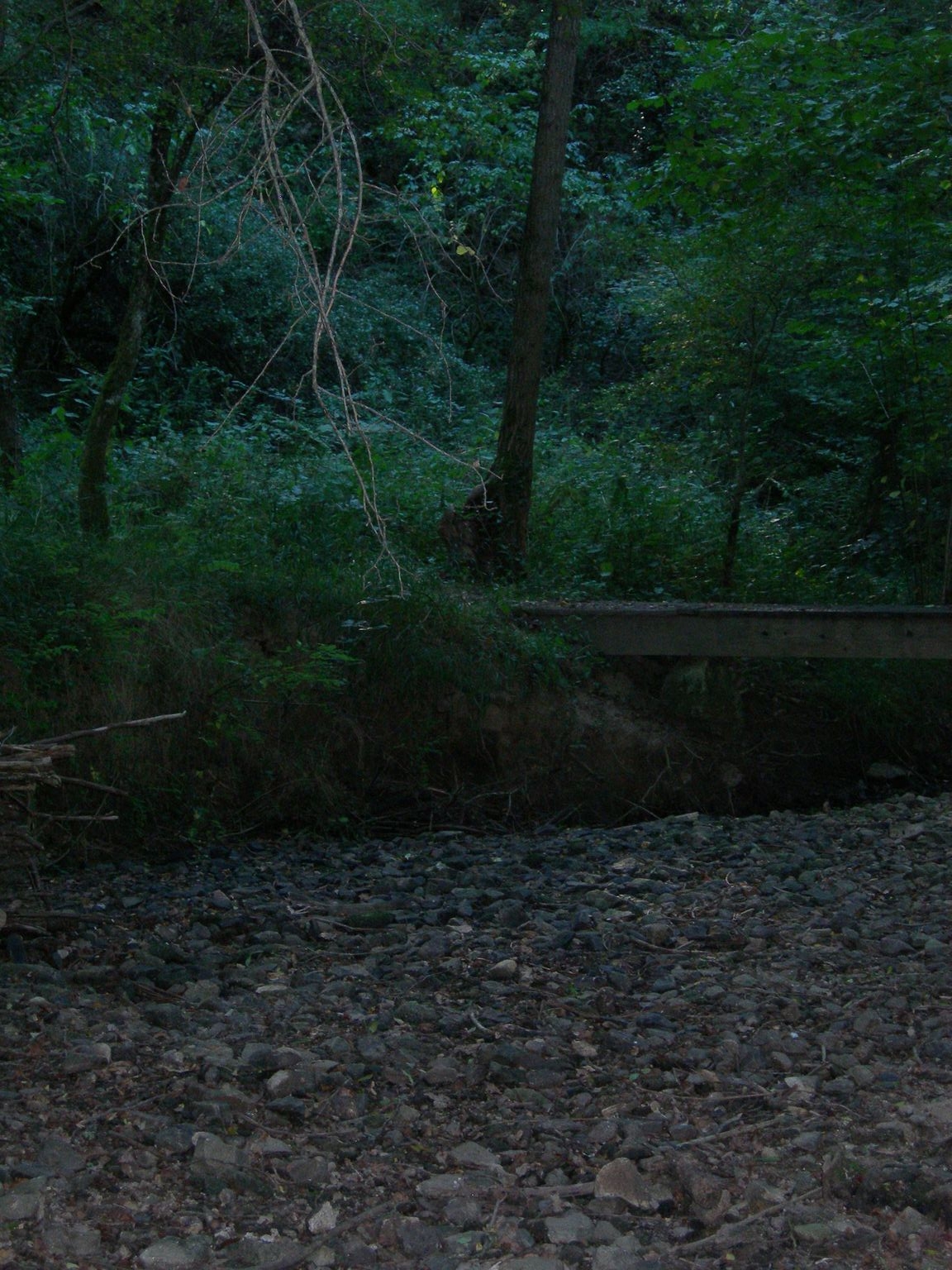 DSCN7676.JPG